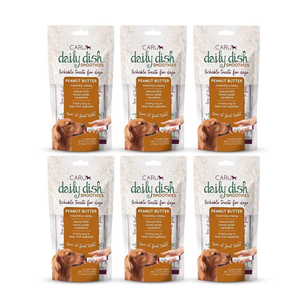 Caru Daily Dish Smoothies