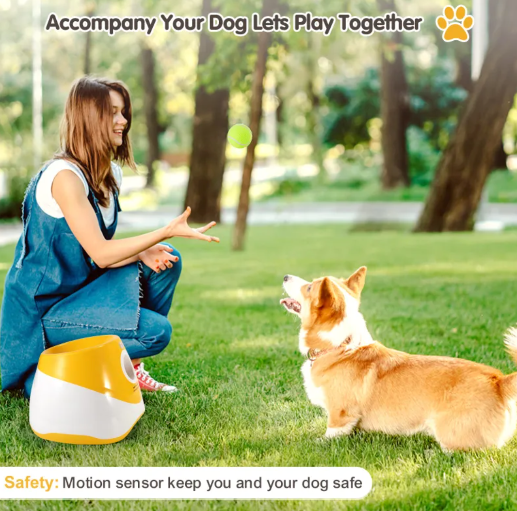 Hands-Free Elastic Dog Ball Launcher