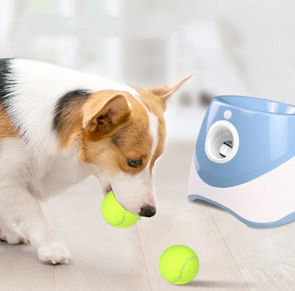 Hands-Free Elastic Dog Ball Launcher