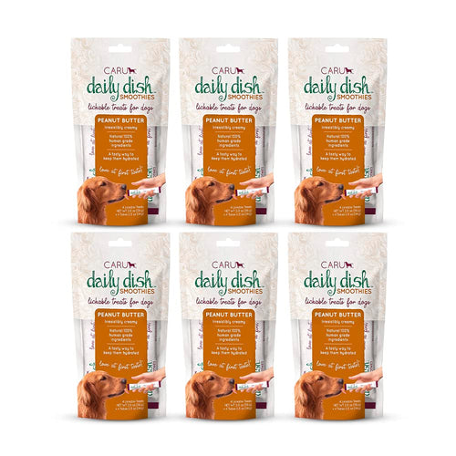 Caru Daily Dish Smoothies