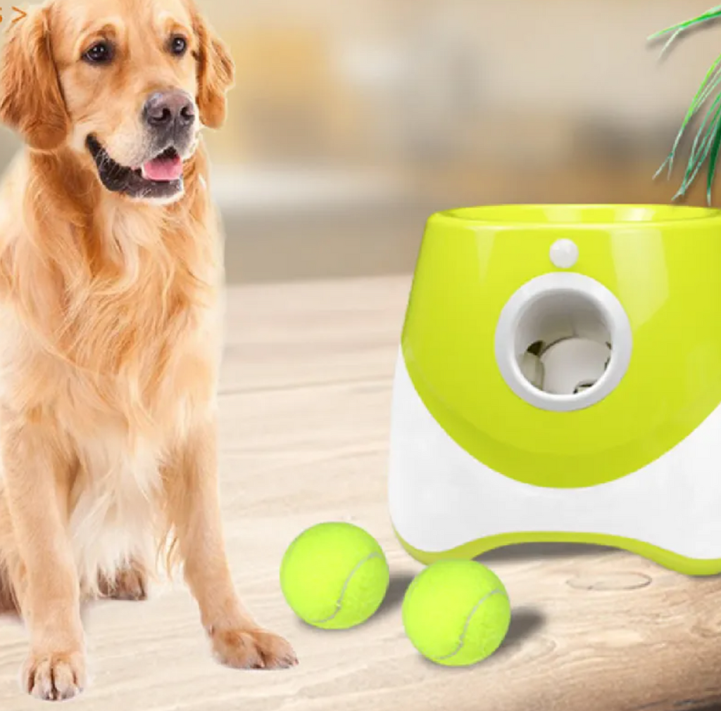 Hands-Free Elastic Dog Ball Launcher